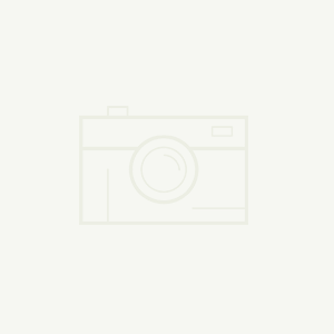 BG8000總線(xiàn)制氣體報(bào)警控制器/總線(xiàn)制報(bào)警主機(jī)